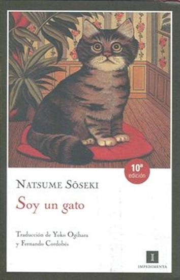 Imagen de SOY UN GATO