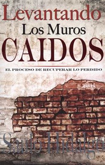 Imagen de LEVANTANDO LOS MUROS CAIDOS