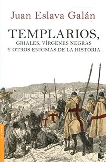 Imagen de TEMPLARIOS,GRIALES,VIRGENES NEGRAS (BOL)
