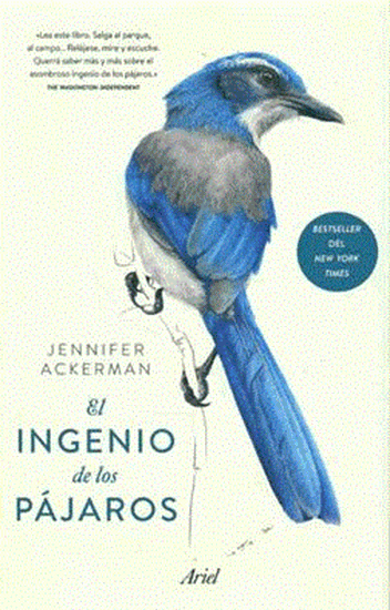 Imagen de EL INGENIO DE LOS PAJAROS