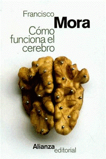 Imagen de COMO FUNCIONA EL CEREBRO