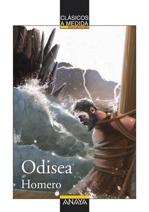Imagen de ODISEA (ANAYA)