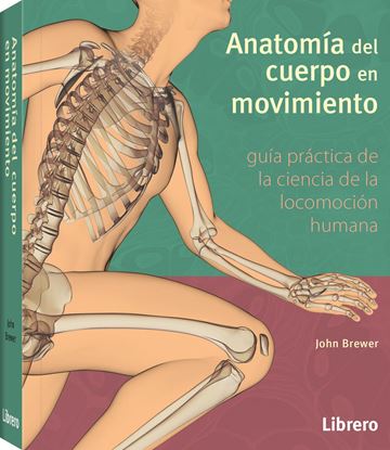Imagen de ANATOMIA DEL CUERPO EN MOVIMIENTO