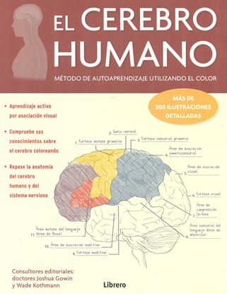 Imagen de EL CEREBRO HUMANO