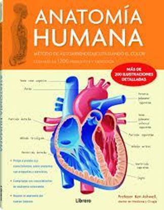 Imagen de ANATOMIA HUMANA 1200 PREGUNTAS