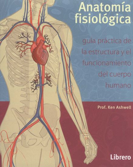 Imagen de ANATOMIA FISIOLOGICA