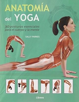 Imagen de ANATOMIA DEL YOGA