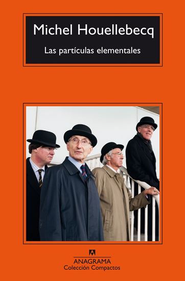 Imagen de LAS PARTICULAS ELEMENTALES