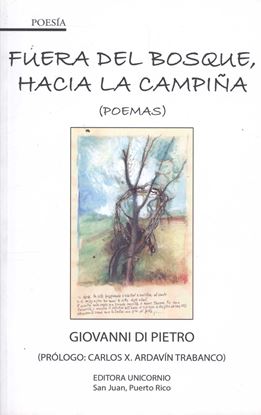 Imagen de FUERA DEL BOSQUE HACIA LA CAMPIÑA (OF1)