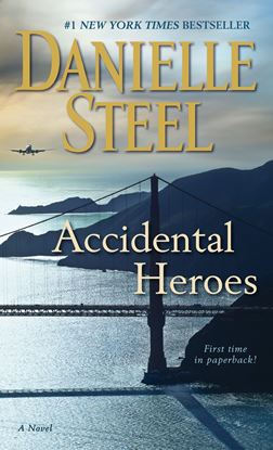 Imagen de ACCIDENTAL HEROES
