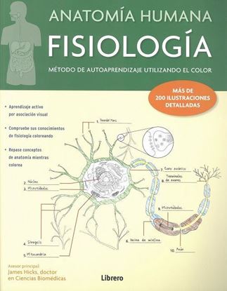 Imagen de ANATOMIA HUMANA. FISIOLOGIA