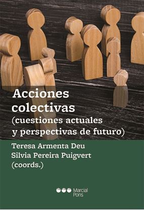 Imagen de ACCIONES COLECTIVAS