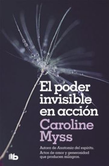 Imagen de EL PODER INVISIBLE EN ACCION (BOL)