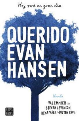 Imagen de QUERIDO EVAN HANSEN