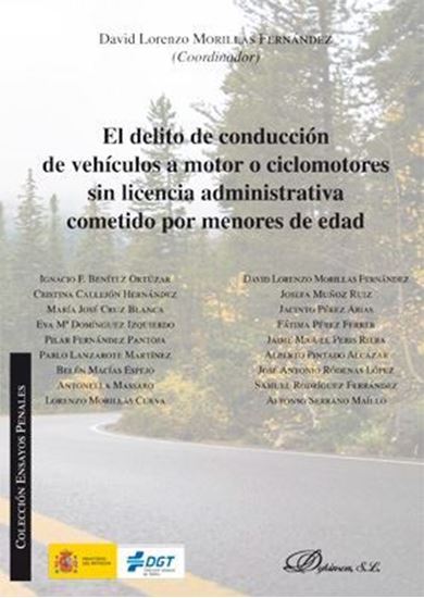 Imagen de EL DELITO DE COND. DE VEHIC. A MOTOR