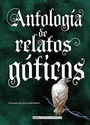 Imagen de ANTOLOGIA RELATOS GOTICOS (CLASICOS ALMA