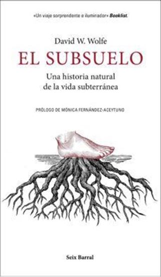 Imagen de EL SUBSUELO (OF2)