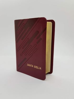 Imagen de SANTA BIBLIA CON REF.Y CONCORDANCIA CAFE