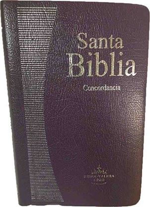 Imagen de BIBLIA REINA VALERA 1960 VINO (CONC.)