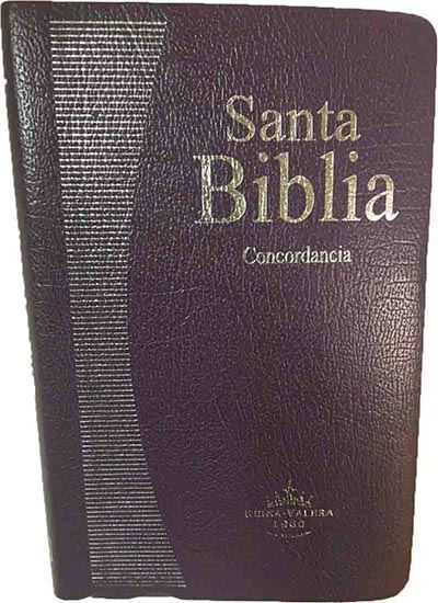 Imagen de BIBLIA REINA VALERA 1960 VINO (CONC.)