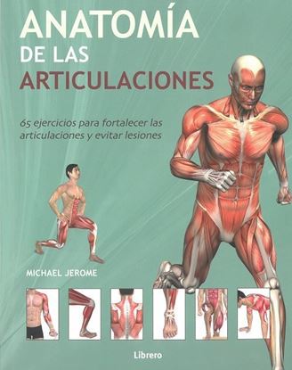 Imagen de ANATOMIA DE LAS ARTICULACIONES