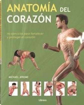 Imagen de ANATOMIA DEL CORAZON