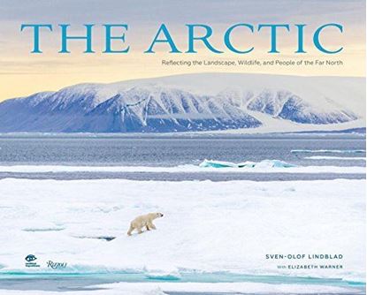 Imagen de THE ARCTIC (OF3)