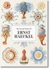 Imagen de ERNST HAECKEL (45TH)  (GB)