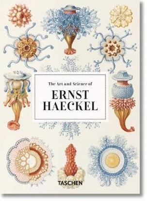 Imagen de ERNST HAECKEL (45TH)  (GB)