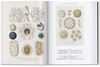 Imagen de ERNST HAECKEL (45TH)  (GB)