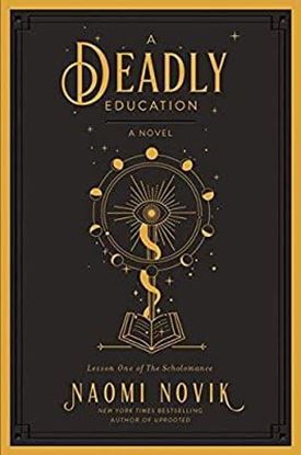 Imagen de A DEADLY EDUCATION