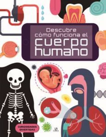 Imagen de DESCUBRE COMO FUNCIONA EL CUERPO HUMANO