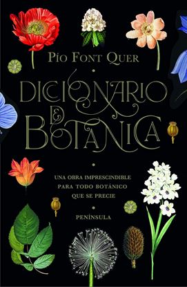 Imagen de DICCIONARIO DE BOTANICA