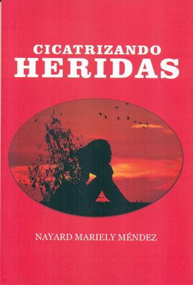 Imagen de CICATRIZANDO HERIDAS