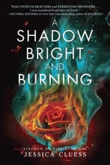 Imagen de SHADOW BRIGHT AND BURNING (KINGDOM ON FI