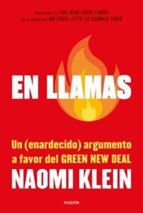 Imagen de EN LLAMAS (GREEN NEW DEAL) (OF2)