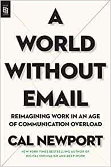 Imagen de A WORLD WITHOUT EMAIL