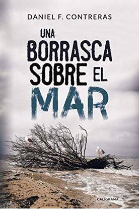 Imagen de UNA BORRASCA SOBRE EL MAR (OF1)