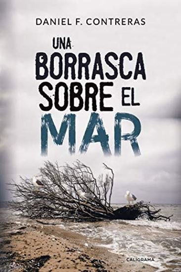 Imagen de UNA BORRASCA SOBRE EL MAR (OF1)