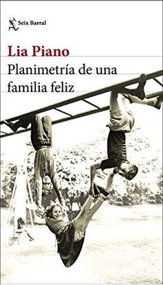Imagen de PLANIMETRIA DE UNA FAMILIA FELIZ(OF2)