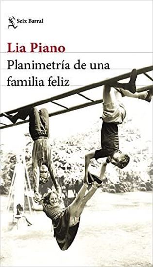 Imagen de PLANIMETRIA DE UNA FAMILIA FELIZ(OF2)