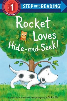 Imagen de ROCKET LOVES HIDE-AND-SEEK! S 1