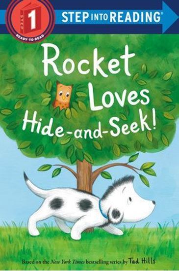 Imagen de ROCKET LOVES HIDE-AND-SEEK! S 1