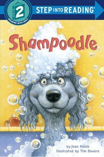 Imagen de SHAMPOODLE S2