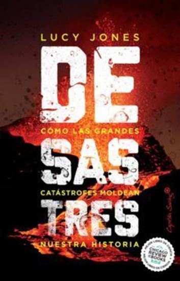 Imagen de DESASTRES. COMO GRANDES CATASTROFES(OF2)