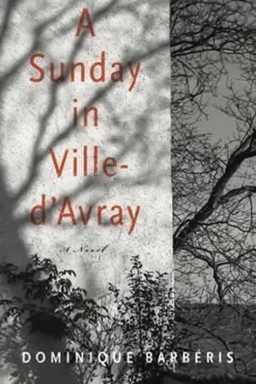 Imagen de A SUNDAY IN VILLE-D'AVRAY