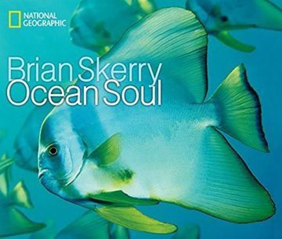 Imagen de OCEAN SOUL (B) (OF3)