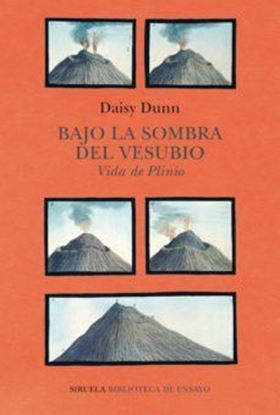Imagen de BAJO LA SOMBRA DEL VESUBIO (OF2)