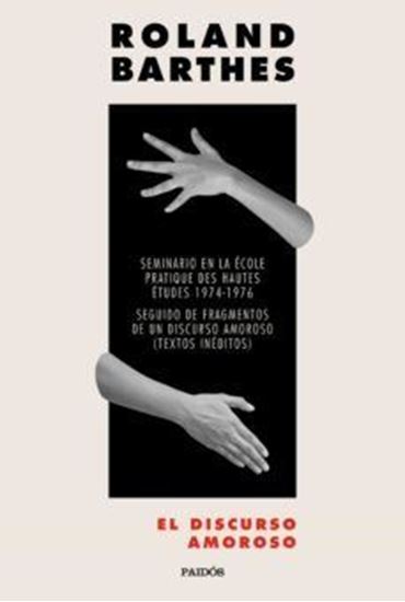 Imagen de EL DISCURSO AMOROSO