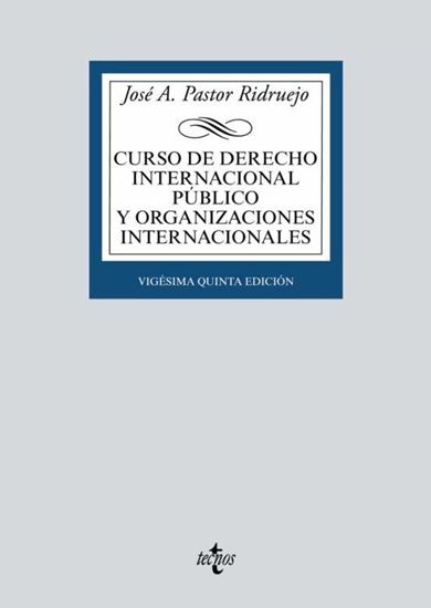 Imagen de CURSO DE DERECHO INTERNACIONAL PUBLICO